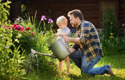 Um jardim para chamar de seu: dicas para plantar em casa com as crianças